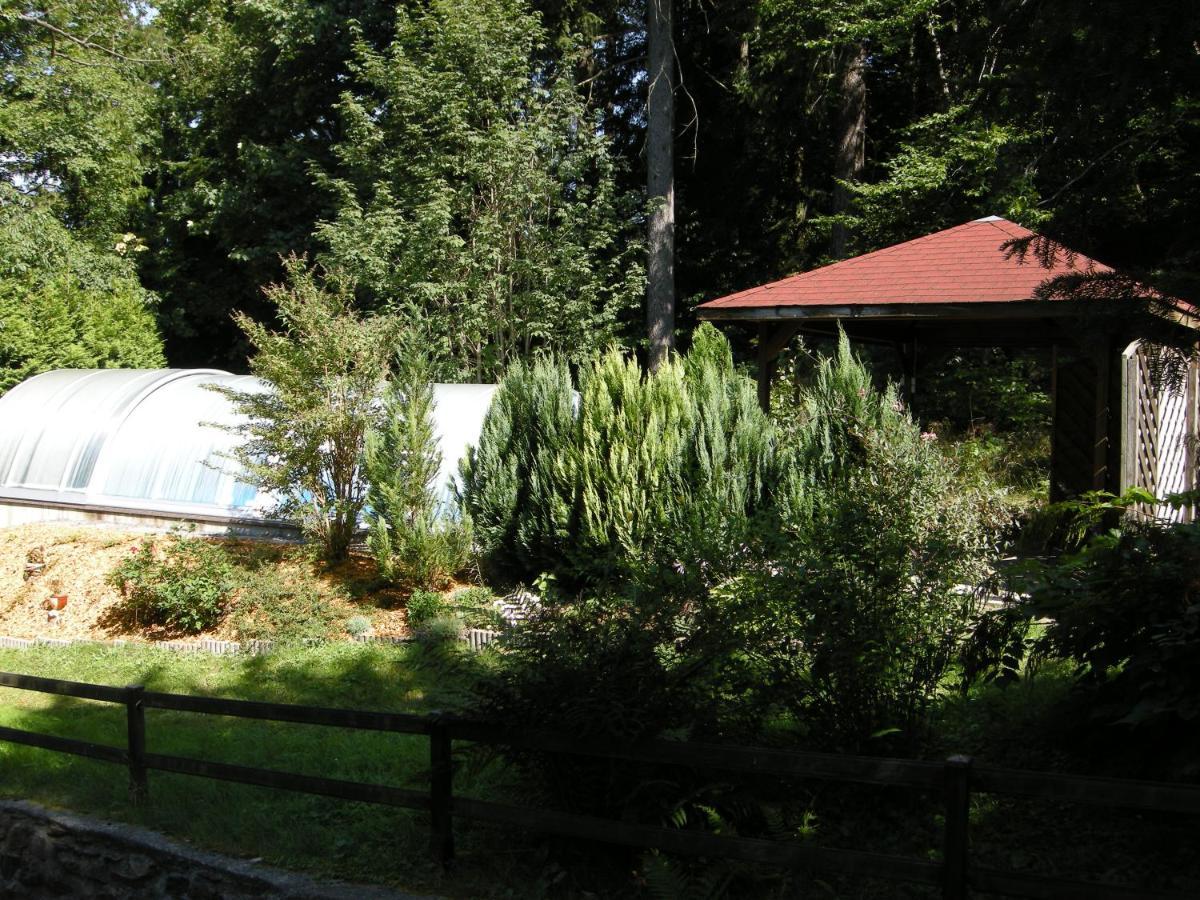 Villa Angelika Altenberg Exterior foto