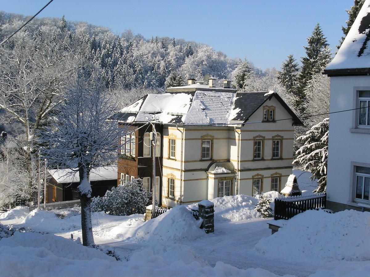 Villa Angelika Altenberg Exterior foto