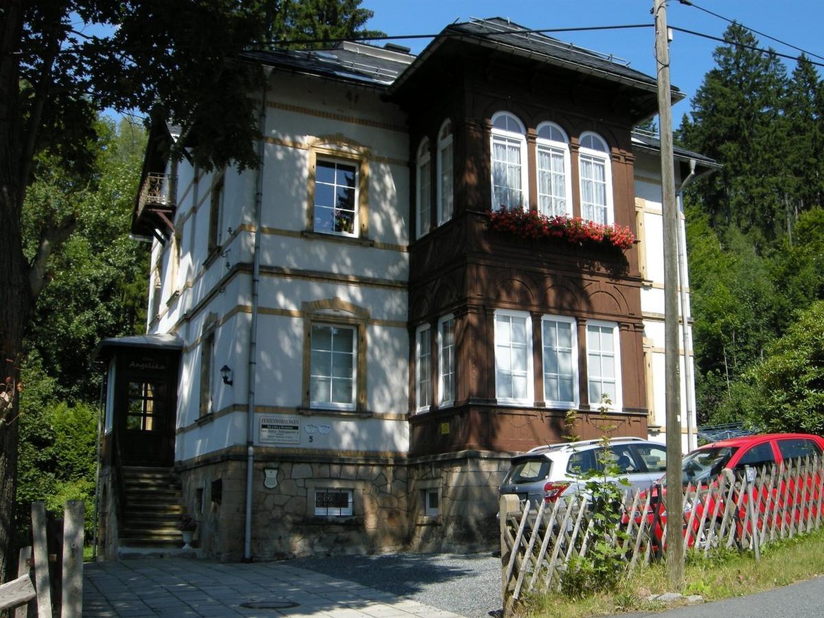 Villa Angelika Altenberg Exterior foto