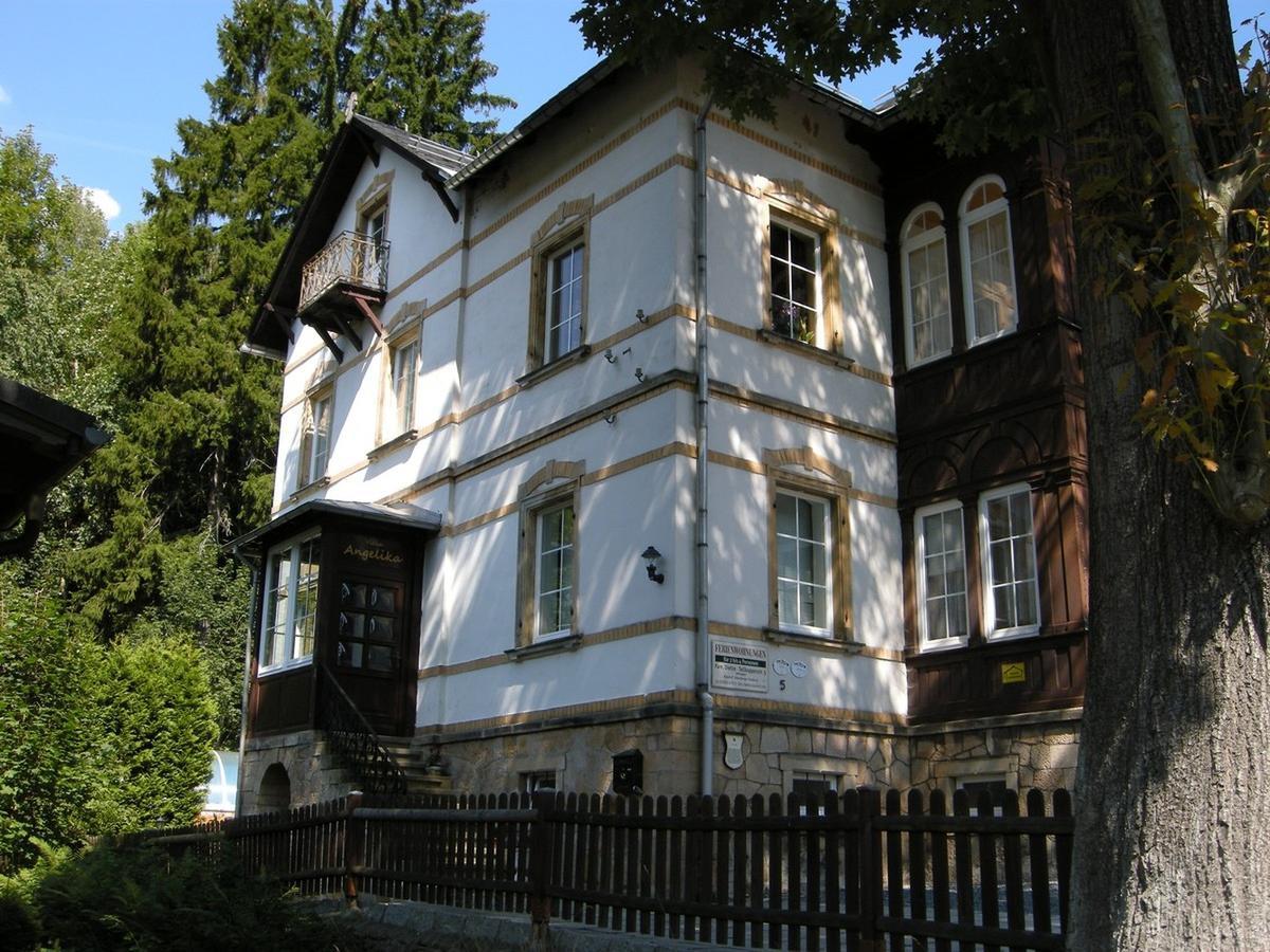Villa Angelika Altenberg Exterior foto